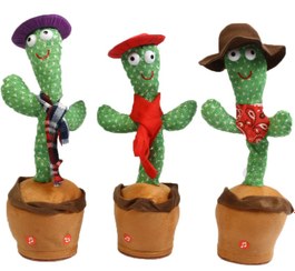 تصویر کاکتوس رقصنده سخنگو کلاهدار Dancing Cactus