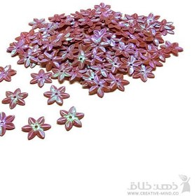 تصویر پولک گل رنگی 