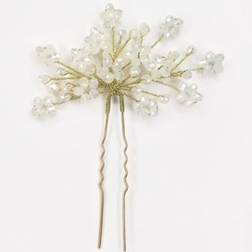 تصویر سنجاق شینیون گلگلی 