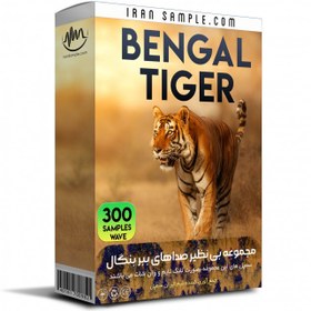 تصویر مجموعه صداهای ببر بنگال Bengal Tiger Sound Effects افکت صوتی