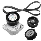 تصویر هرزگرد تسمه دینام چری کویین 