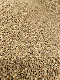 تصویر کنف یا شاهدانه نیم کیلویی 