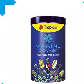 تصویر غذای ماهی آب شور Marine power Oceanic mix flakes 250 ml 