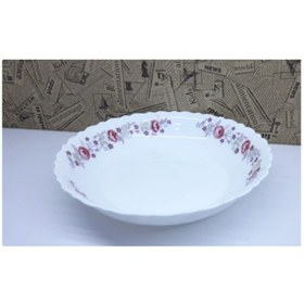 تصویر دیس نیم گود مرغ خوری ۲۳۰ 