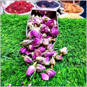 تصویر غنچه گل محمدی 