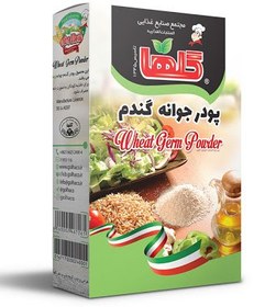 تصویر پودر جوانه گندم 200 گرم – جعبه 