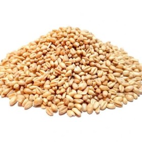 تصویر گندم حلیمی 5 کیلویی 