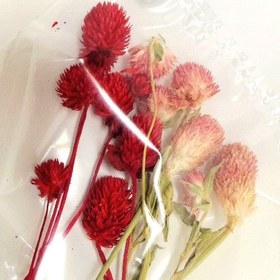 تصویر گل خشک شمع سازی 