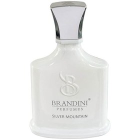 تصویر عطر Silver Mountain حجم 33 میل برندینی Brandini Silver Mo