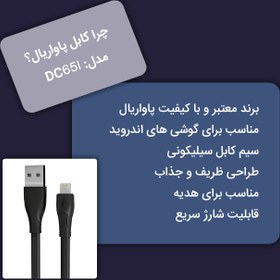 تصویر کابل تبدیل USB به لایتنینگ پاواریال مدل DC65i طول 1 متر 