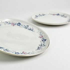 تصویر پیش دست هاسامی 