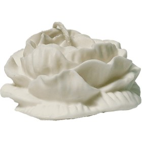 تصویر آلاله بزرگ 