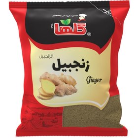 تصویر پودر زنجبیل 50 گرم – سلفونی 
