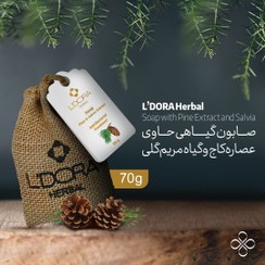 تصویر صابون گیاهی حاوی عصاره‌ کاج وگیاه مریم گلی 70 گرمی Soap with Pine Extract and Salvia, 70 g