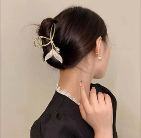 تصویر کلیپس فلزی نگین دار دم وال 