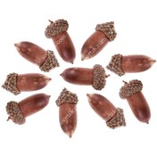 تصویر بلوط تزئینی 10 عددی STY375 