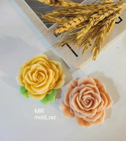 تصویر رز ژور نالی با برگ 