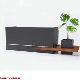 تصویر کانتر ویلو Willow 