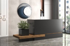 تصویر کانتر ویلو Willow 