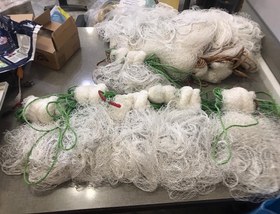 تصویر تور ماهیگیری پرتابی 