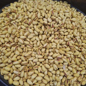 تصویر پسته احمد اقایی شور 