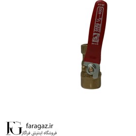 تصویر شیر گازی سارا 