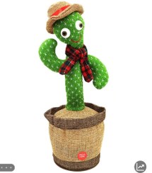 تصویر کاکتوس سخنگو لباس دار شارژی 