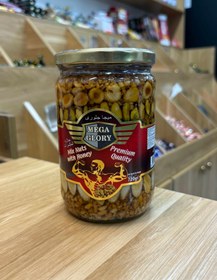 تصویر معجون مخصوص مگا گلوری ۷۲۰ گرمی Mega glory