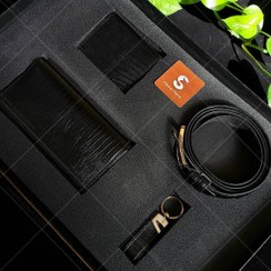 تصویر ست لیزارد 