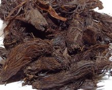 تصویر سمبل الطیب 