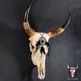 تصویر جمجمه گاو دریم کچر 