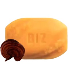 تصویر صابون گانودرما دکتر بیز Dr Biz Ganoderma Soap