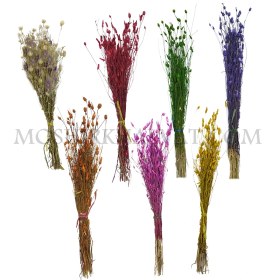 تصویر گل خشک مدل عطری 