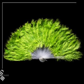 تصویر بادبزن پر کد 1345 