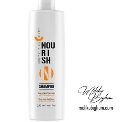 تصویر شامپو تغذیه کننده روزانه سی دی سی ( CDC ) COMPAGNIA DEL COLOR DAILY CARE NOURISH SHAMPOO