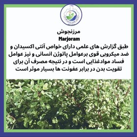 تصویر برگ مرزنجوش اعلا 100 گرمی 