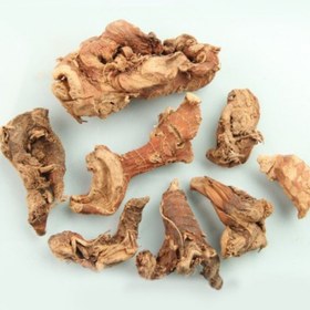 تصویر ریشه جوز قلم آنتی باکتریال