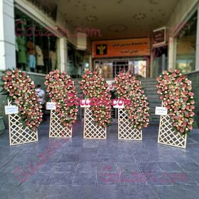 تصویر گل افتتاحیه گلسا 