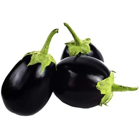 تصویر بادمجان دلمه ای 