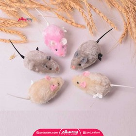 تصویر اسباب بازی موش کوکی مخصوص سگ و گربه 