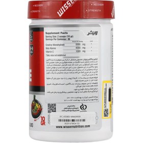 تصویر کراتین بتا آلانین (پانچ میوه)300 گرم Creatine Beta Alanine Wisser Nutrition