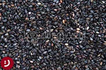 تصویر کنجد سیاه - پاکت پلاستیکی / 100g / دان تمیز شده لوکس black sesame