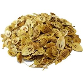 تصویر گلپر _75 گرمی 