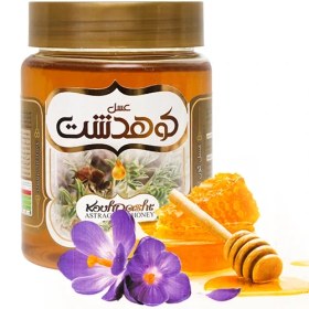 تصویر عسل گون کوهدشت - 600 گرم ( 6 عدد) 