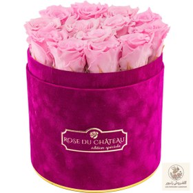 تصویر Pale Pink Eternal Roses in Fuchsia Flocked Flowerbox | کد: ZNB-1IWP 