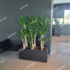 تصویر باکس لوکس یوکا BY09 