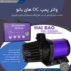 تصویر واتر پمپ کنترل دار DC-T6000 های بائو HAI BAO DC pump DC-T6000