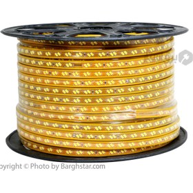 تصویر ریسه شلنگی ال ای دی 5730 CCPY دو لاین حلقه 100 متری CCPY STRIP LIGHT SMD 5730 100m