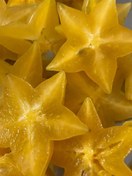 تصویر نهال استارفروت ۴ ساله Starfruit plant