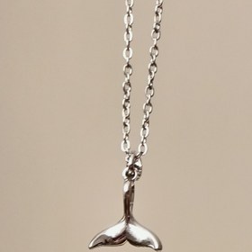 تصویر گردنبند استیل دم دو رو 